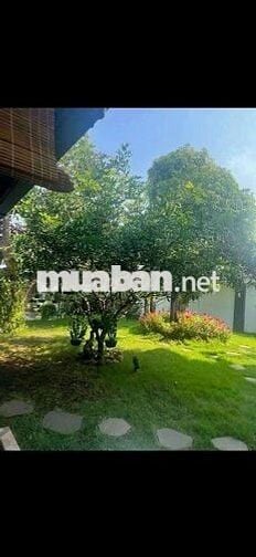Biệt thự VIP gần 1000m2 Sân Vườn Hồ Bơi 3 tầng Đường Lê Thị Riêng