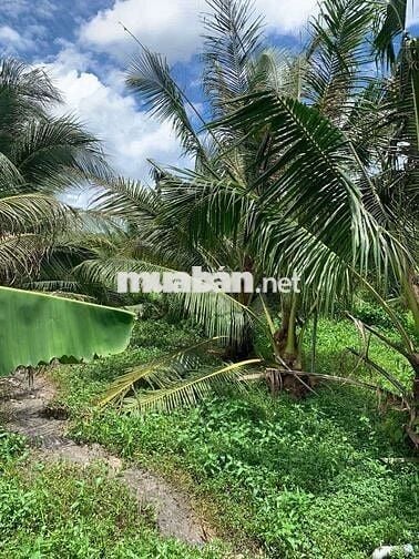 Giá chỉ 14 tỷ 
CẦN RA MIẾNG ĐẤT 3.899 m2, 
Quá ngộp quá rẻ ạ
