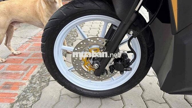 Vario 2024 125