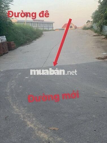 BÁN NHÀ 3 TẦNG 1 TUM,  HẢI BỐI – CHỦ GIẢM GIÁ TỔ HƠN THỊ TRƯỜNG 2 GIÁ