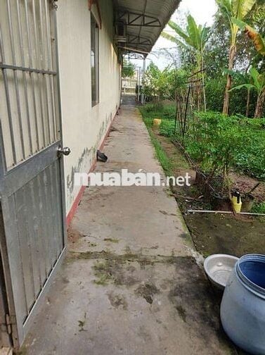 Nhà ở đẹp thoáng mát cần bán gấp