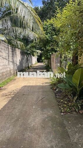 nhà chính chủ,123.9m2 , sẵn sổ , ngang hơn 5m, đất vuông vức