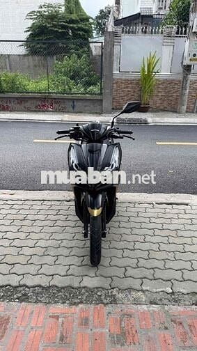 Vario 2024 125