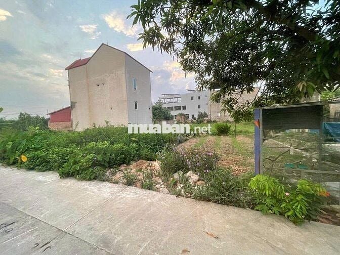 Bán đất tổ 9, Quang Minh, Mê Linh. Gần bìa làng, đường thông, oto Bán đất tổ 9, Quang Minh, Mê Linh. Gần bìa làng, đường thông, oto