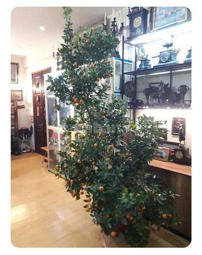 Bán căn hộ đẹp quận Hai Bà Trưng gần phố Cổ HN Bán căn hộ đẹp quận Hai Bà Trưng gần phố Cổ HN