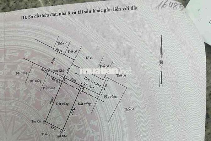 Bán Đất Gò Vấp, gần Lê Đức Thọ, 50m2, SHR, giá chỉ 3.7 tỷ