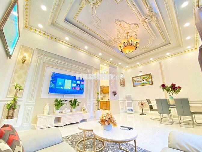 CHO THUÊ BIỆT THỰ MINI 7X15M FULL NỘI THẤT CAO CẤP HUỲNH TẤN PHÁT Q7