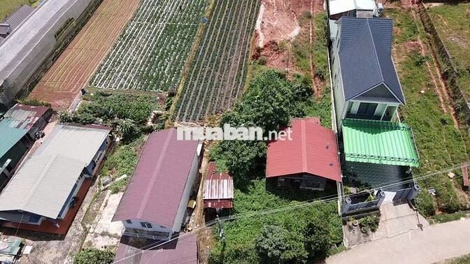 Chủ ngộp BANK cần ra nhanh lô đất mặt tiền KQH MĂNG LIN 751m²