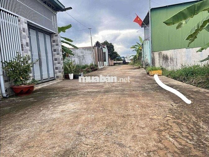 ❌❌❌ RẺ NHẤT KHO THÁI PHÚC - Giáp Tân Lợi