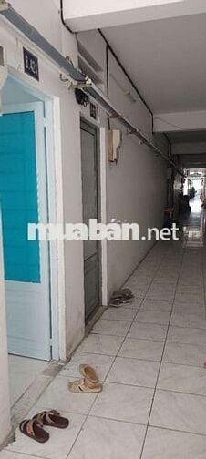 Cho thuê nhà chung cư hồng loan