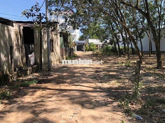 ĐẤT THỔ CƯ 5x21MÉT KẾ TRƯỞNG HỌC GẦN KCN PHƯỚC ĐÔNG