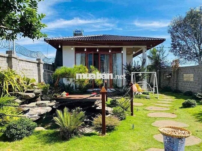 Bán nhà mái Thái ở Thị Xã Chơn Thành - Đồng Nai
