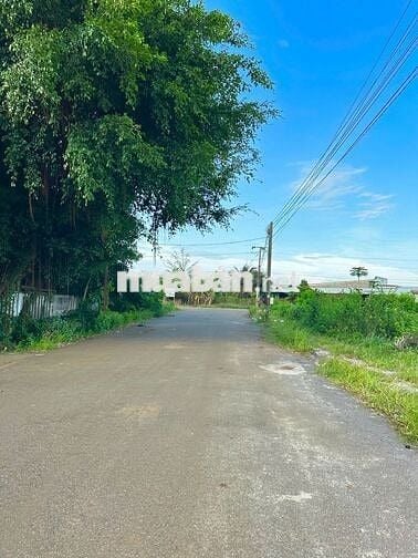 CHÍNH CHỦ CẦN BÁN NHANH LÔ ĐẤT ĐƯỜNG 15 HÒA LONG 184M2/1TY680.