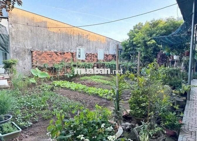 Nhà đang cho thuê 4triệu/tháng. Giờ muốn bán giá toàn bộ 420triệu