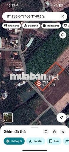 4224m2 đất Full thổ cư tại Thạnh Đức, Gò Dầu, Tây Ninh