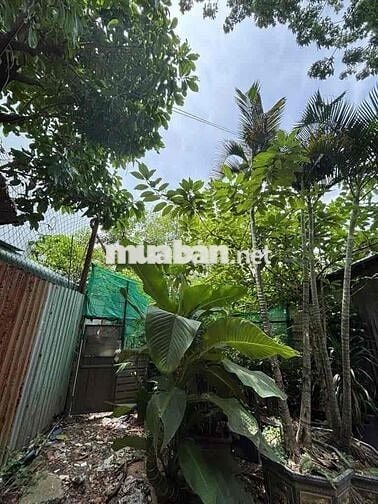ĐẤT 5X22 110m2 HẺM XE HƠI NGUYỄN VĂN QUÁ Q12 – NGANG ĐỈNH 5M