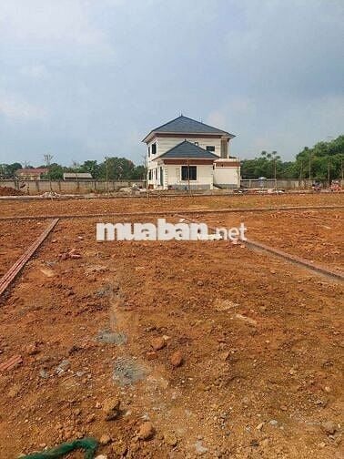 Đất Thổ cư, sát Đại học Quốc Gia tại Hòa Lạc