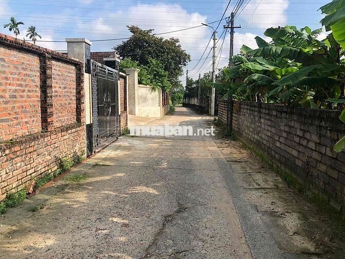 Chỉ 1,6 Tỷ Sở Hữu 125m2 Đất Đẹp