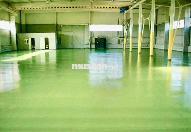 🔴 Xưởng 8000m2, KCN Tân Đô, xã Đức Hoà Hạ, huyện Đức Hoà, tỉnh Long An