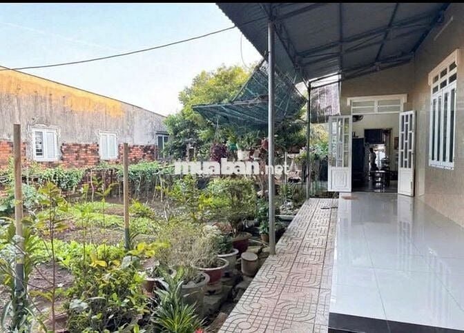 Nhà đang cho thuê 4triệu/tháng. Giờ muốn bán giá toàn bộ 420triệu