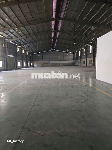 CHO THUÊ NHÀ XƯỞNG ĐẸP KCN ĐỨC HÒA, PHÁP LÝ HOÀN CHỈNH GIAO NGAY