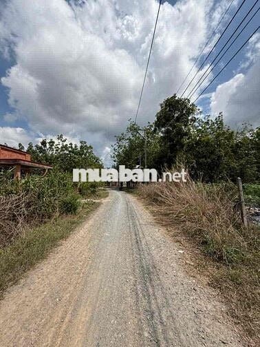 4224m2 đất Full thổ cư tại Thạnh Đức, Gò Dầu, Tây Ninh