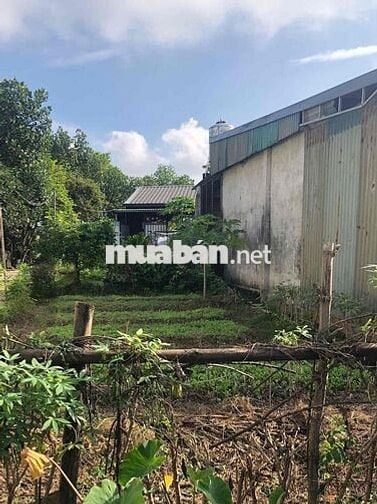 Chỉ 1,6 Tỷ Sở Hữu 125m2 Đất Đẹp