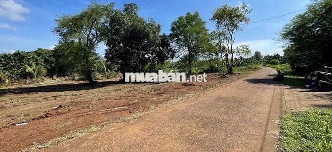Đất ngộp giá rẻ ven suối sát sân bay long thành
