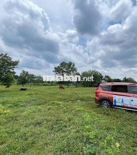 🌿 BÁN ĐẤT XÃ BẢO BÌNH – HUYỆN CẨM MỸ – TỈNH ĐỒNG NAI 🌿  📍 Vị trí: Xã B