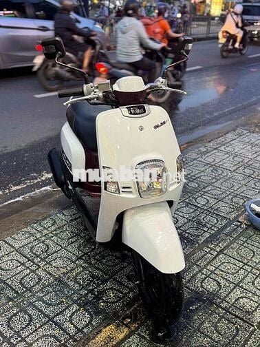 yamaha cuxi ba đẹp thần tài thổ địa ngay chủ uq