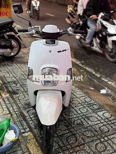 yamaha cuxi ba đẹp thần tài thổ địa ngay chủ uq