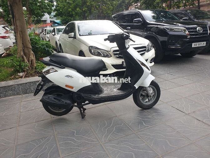 Bán ze Zip trắng đẹp như ngọc chinh