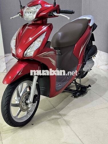 vision zin chất