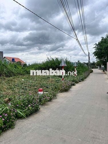 BÁN LÔ GÓC MẶT TIỀN ĐƯỜNG LÊ VĂN TÂM (TÂN TRỤ, LONG AN) – CHỈ 1,25 TỶ