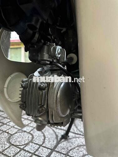 can ban cub 09c may 100c