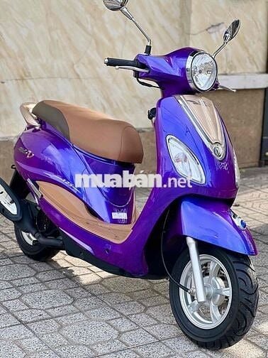 Venus 3 giấy tắt máy xe chưa đổ xăng câu bình