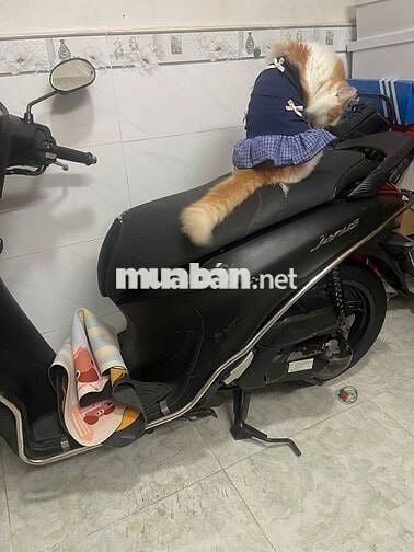 Xe tay ga Yamaha Janus 2017 màu đen cũ