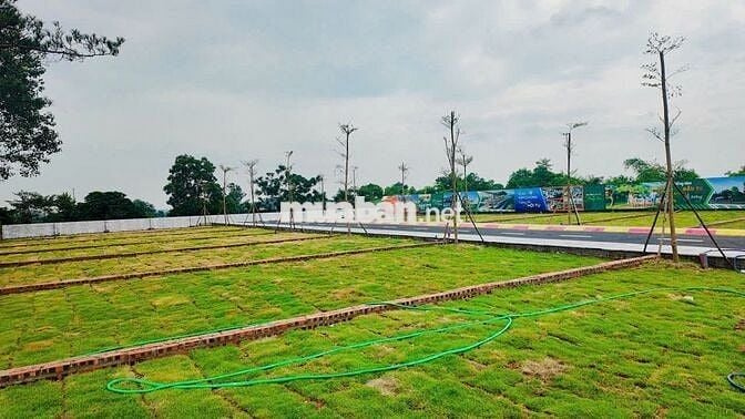 BÁN LÔ ĐẤT 100M² FULL THỔ CƯ – CỔ ĐÔNG, SƠN TÂY – GẦN HÒA LẠC