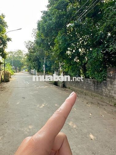 ĐẤT MẶT ĐƯỜNG TRỤC CHÍNH KINH DOANH HÒA  GẦN QUỐC LỘ 21A