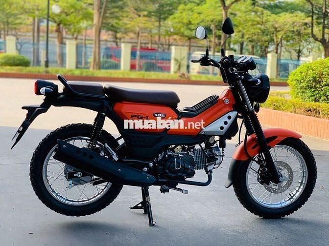 YAMAHA PG-1 CAM XE LƯỚT 200KM MỚI ĐẬP HỘP 2025