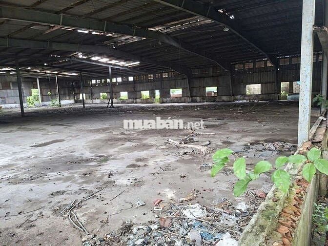 -CHO THUÊ KHO DIỆN TÍCH KHỦNG P,AN LẠC BÌNH TÂN 900TR THÁNG.