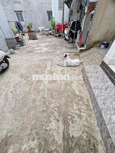 BÁN NHÀ LINH ĐÔNG, THỦ ĐỨC – HXH ĐỖ CỬA – 61M² CHỈ 3.5 TỶ Đ Linh Đông