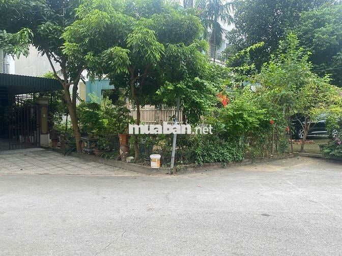 Bán đất ở Dữu Lâu (gần ủy ban phường cũ)