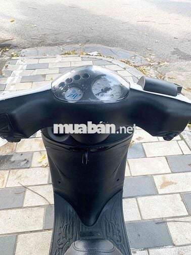 zip piaggio
