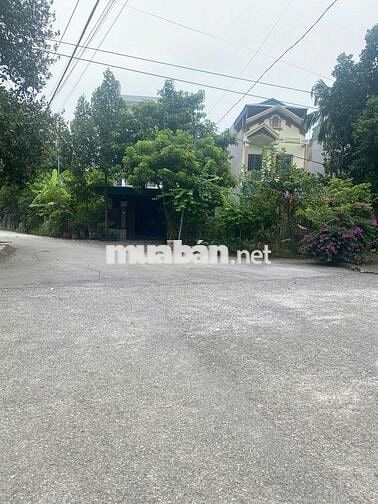 Bán đất ở Dữu Lâu (gần ủy ban phường cũ)