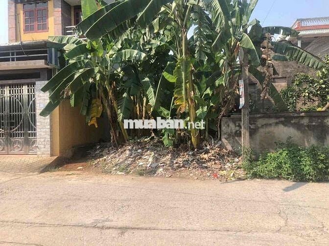 Bán đất thổ cư 100m² tại Tổ 18, Phường Đồng Mai, Quận Hà Đông, Hà Nội