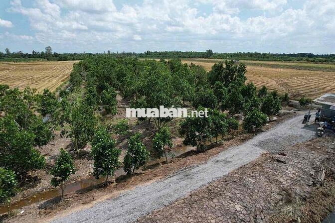 1000m Đất Thổ + Vườn,View Kênh,Đường 7m5 chỉ 949tr