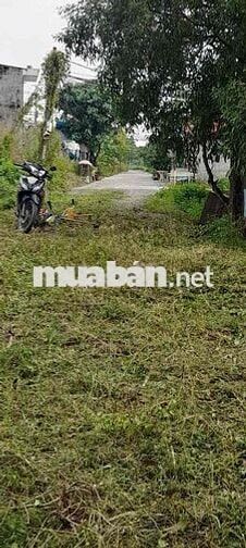 CCG Bán Lô Đất 13x45m( 586m2) full Thổ Cư Ngay Đường Giồng Cát, Củ Chi