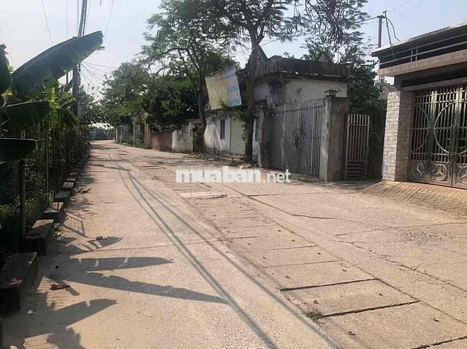 Bán đất thổ cư 100m² tại Tổ 18, Phường Đồng Mai, Quận Hà Đông, Hà Nội
