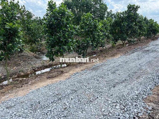 1000m Đất Thổ + Vườn,View Kênh,Đường 7m5 chỉ 949tr